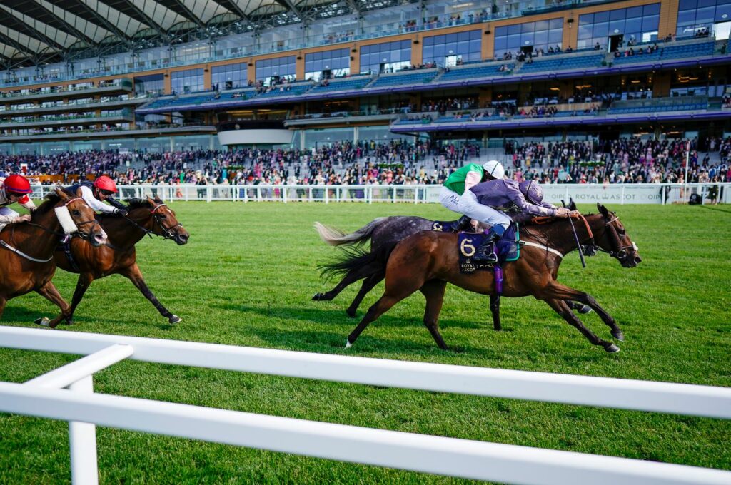Royal Ascot reaching mid-stride ahead of more epic days and nights – Pynck