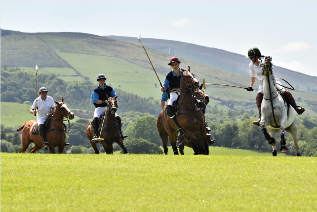 The ball is in and the game is on as the Irish summer polo season gets underway – Pynck