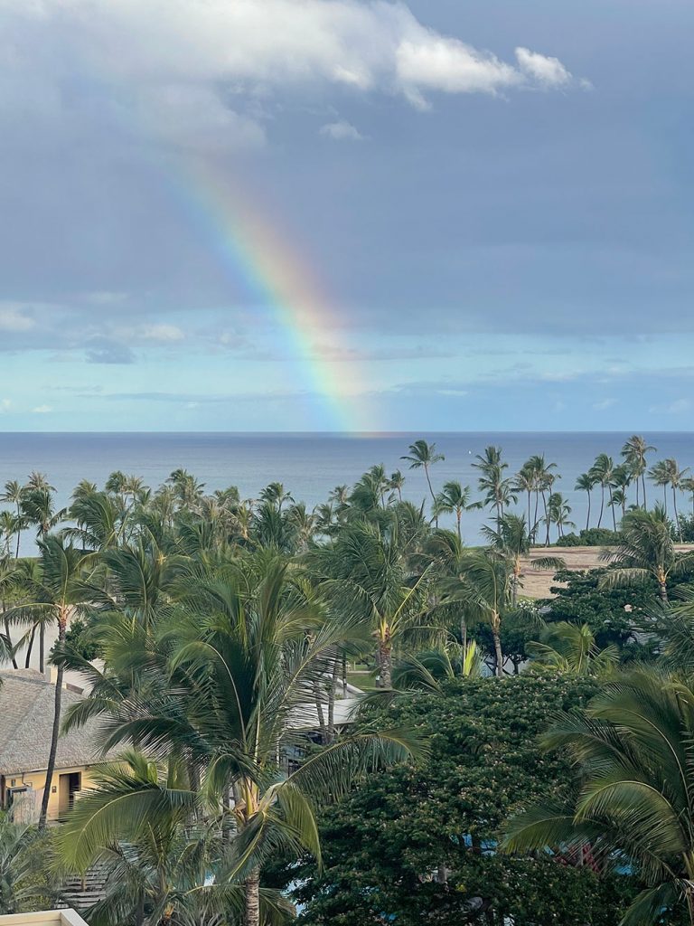 Foodland, a Hidden Hawaii Gem for Gifts and Souvenirs