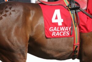 Galway Summer Festival set to rock the racecourse with over 50 races to run – Pynck