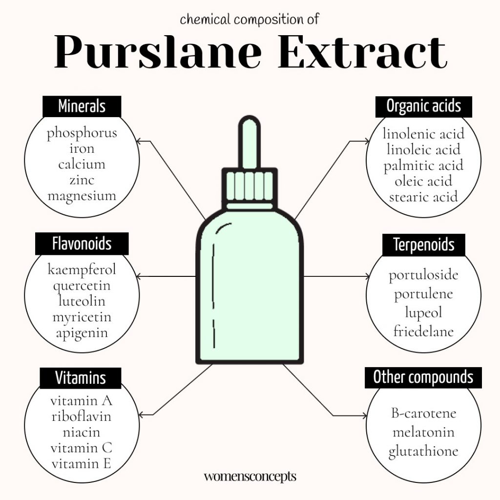 Meet Purslane Extract, A Natural Hero for Anti-Aging and Skin Protection