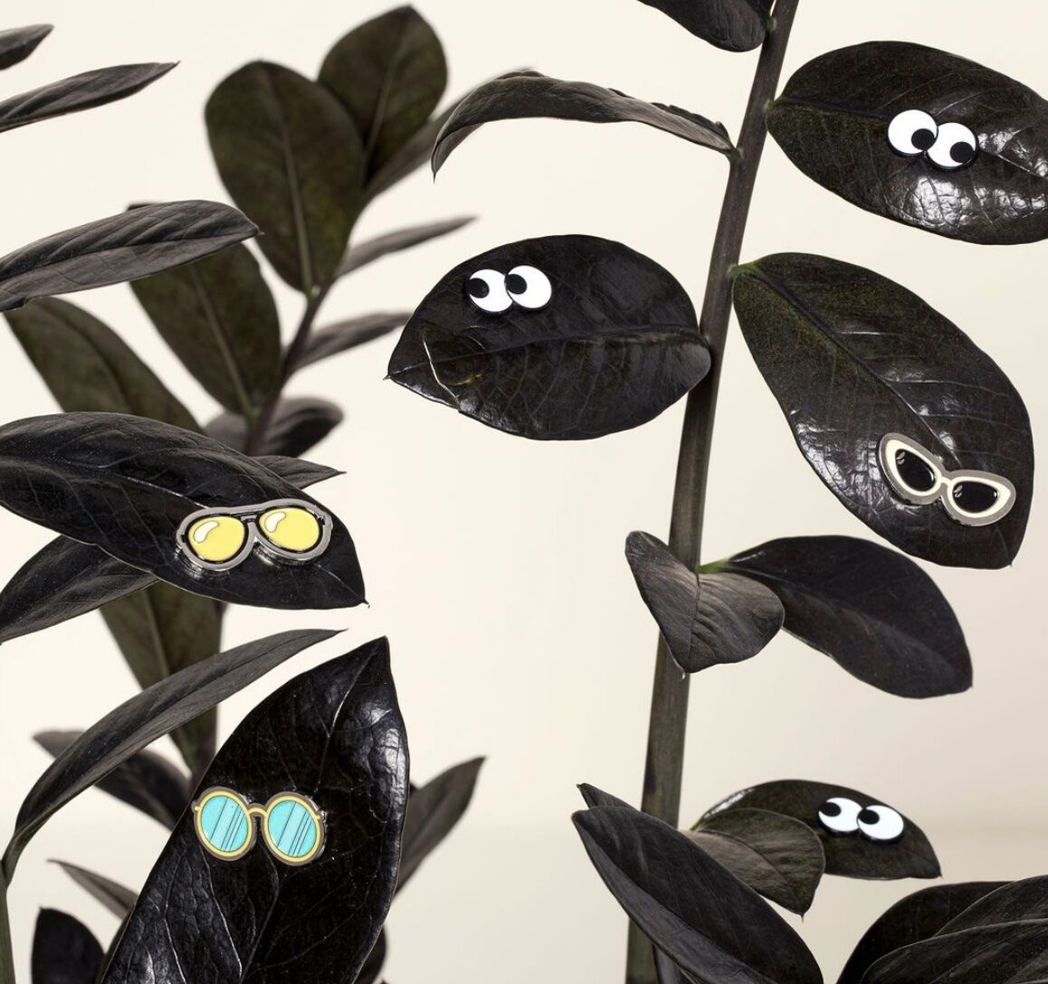 plants with eyes on the leafs