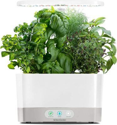 AeroGarden Indoor Hydroponic Garden