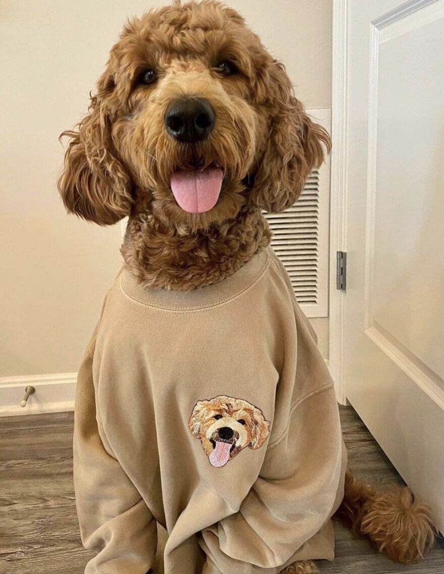 dog wearing a shirt with it's face embroidered on it 