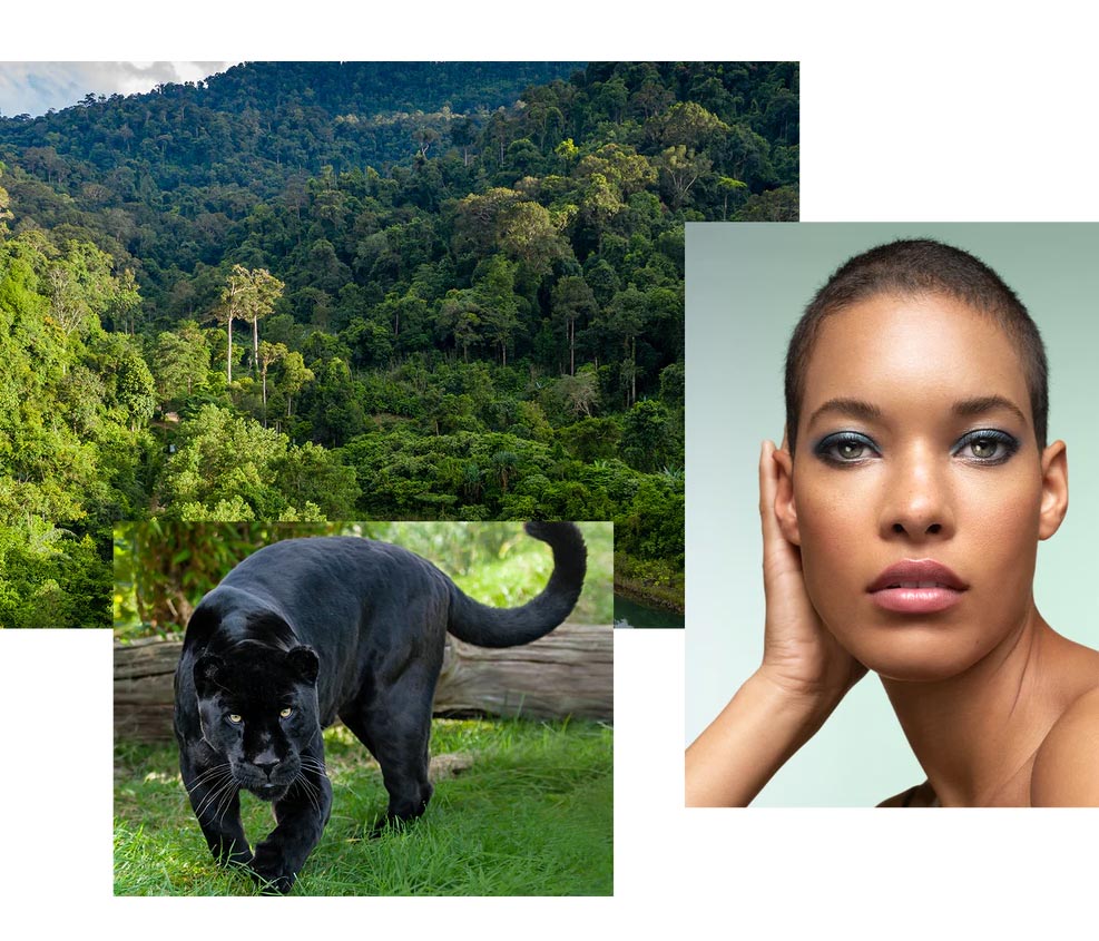 Beauty Chat! Big Cats for Chantecaille and the Rise of the Instagram Face