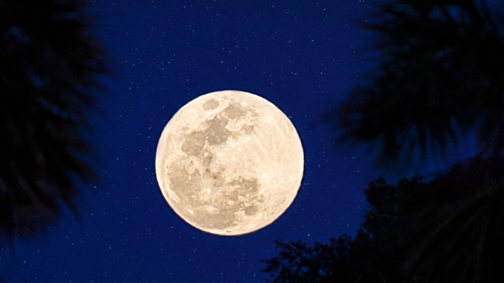 How the Last Supermoon of 2022 Will Impact You, Astrologically