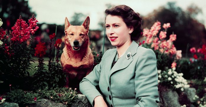 Remembering Her Majesty Queen Elizabeth II, Britain’s Longest-Reigning Monarch