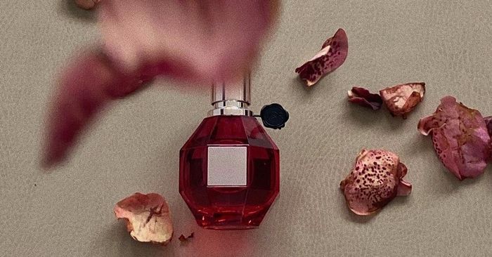 The Proof Is In the Data: 2022’s Most Sought-After Fragrances, Period